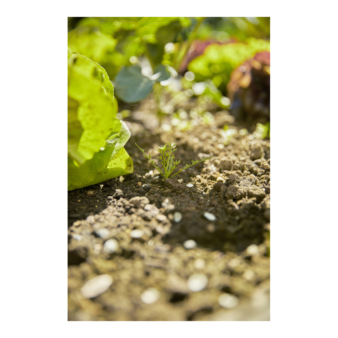 GARDENA combisystem-2in1 Grubber-Rechen