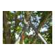 Gardena Comfort Ébrancheur à cliquet SmartCut 8773-4