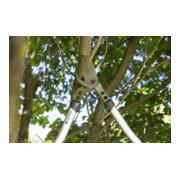 GARDENA Coupe-branches PremiumCut 700 B-4