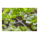 Gardena Croisillon 4,6 mm (3/16") Contenu : 10 pièces MDS-3