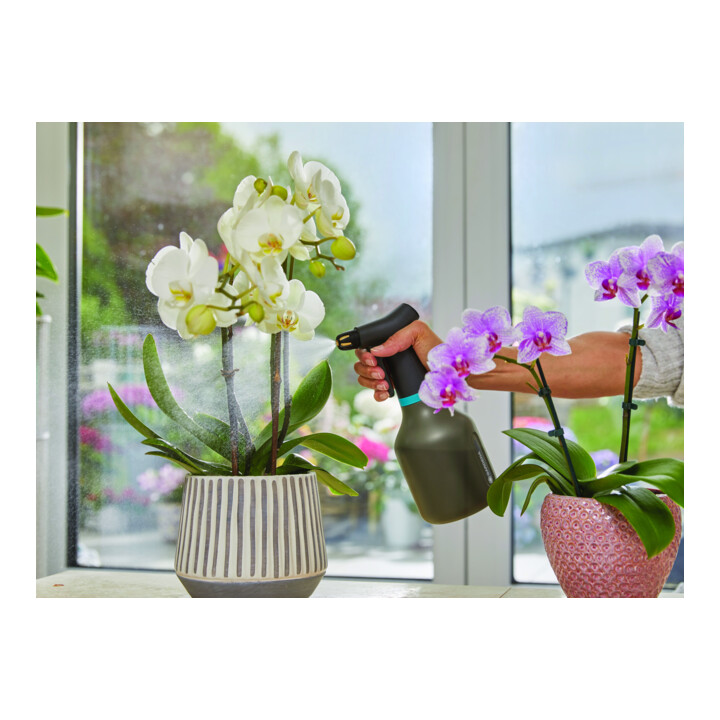 GARDENA Drucksprüher 5 L Comfort + Pumpsprüher 0,75 L - Aktion