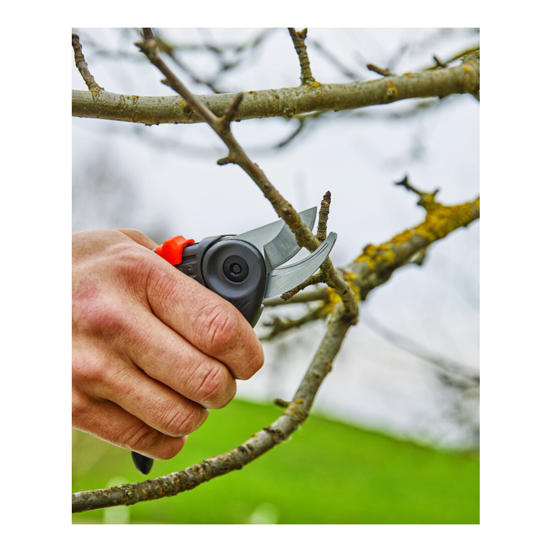GARDENA Gartenschere ExpertCut