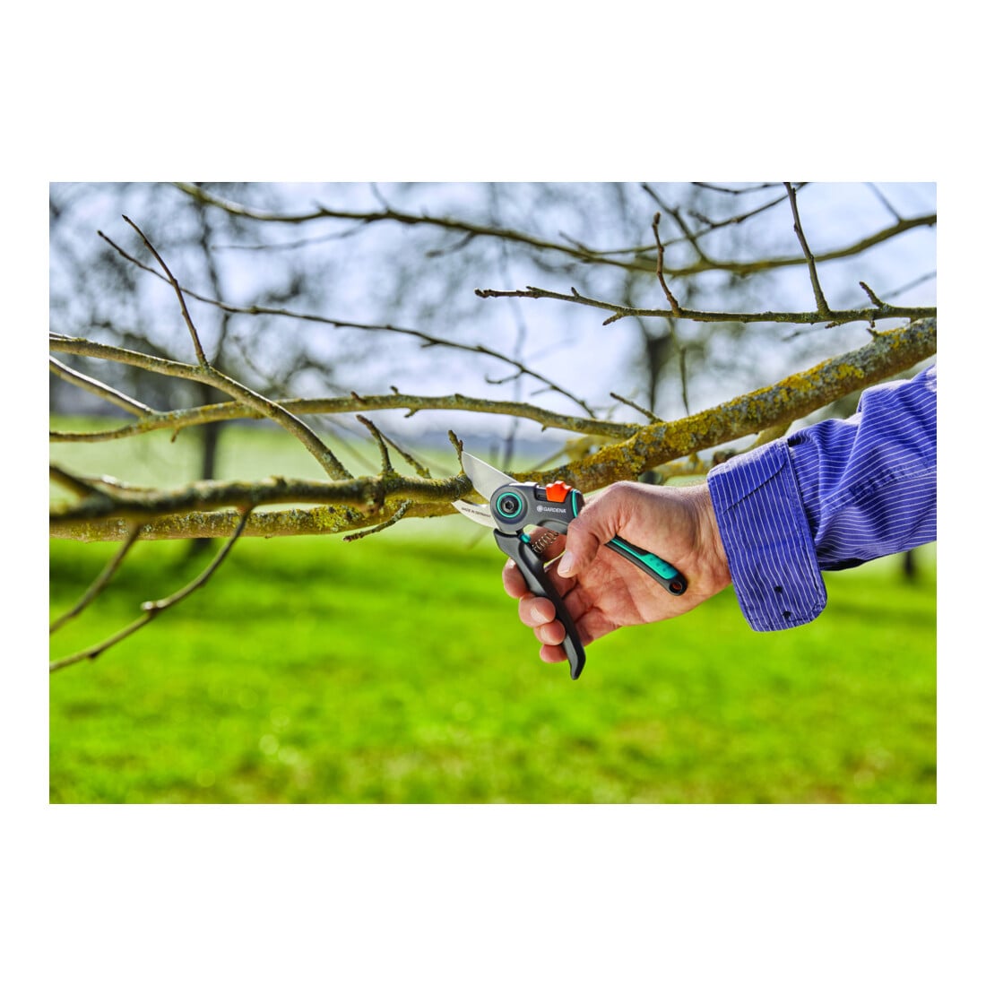 GARDENA Gartenschere ExpertCut