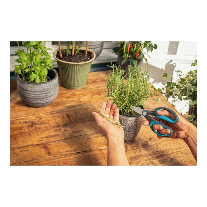 Gardena Gartenschere HerbCut mit Holster