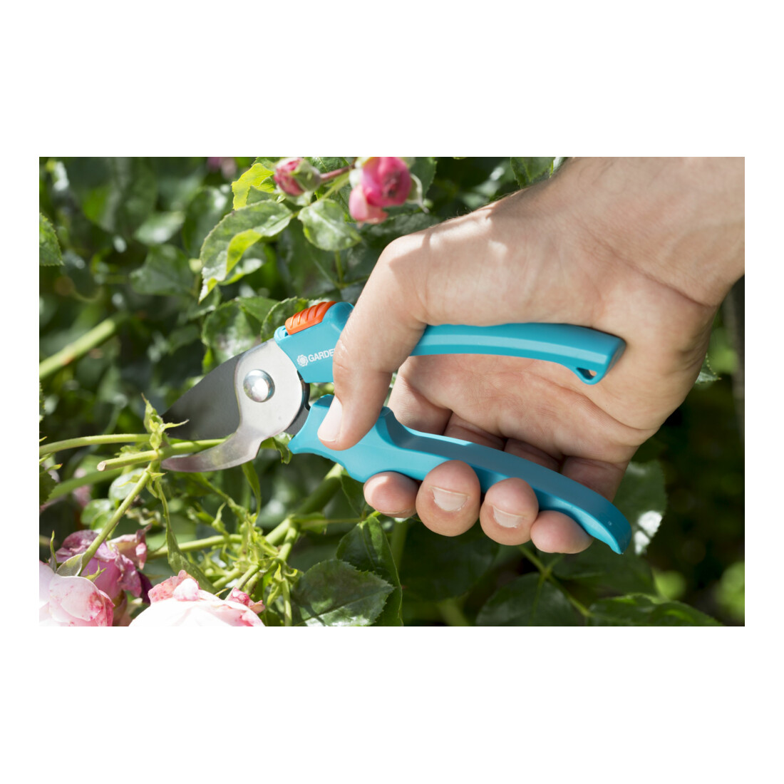 GARDENA Gartenscheren-Aktion