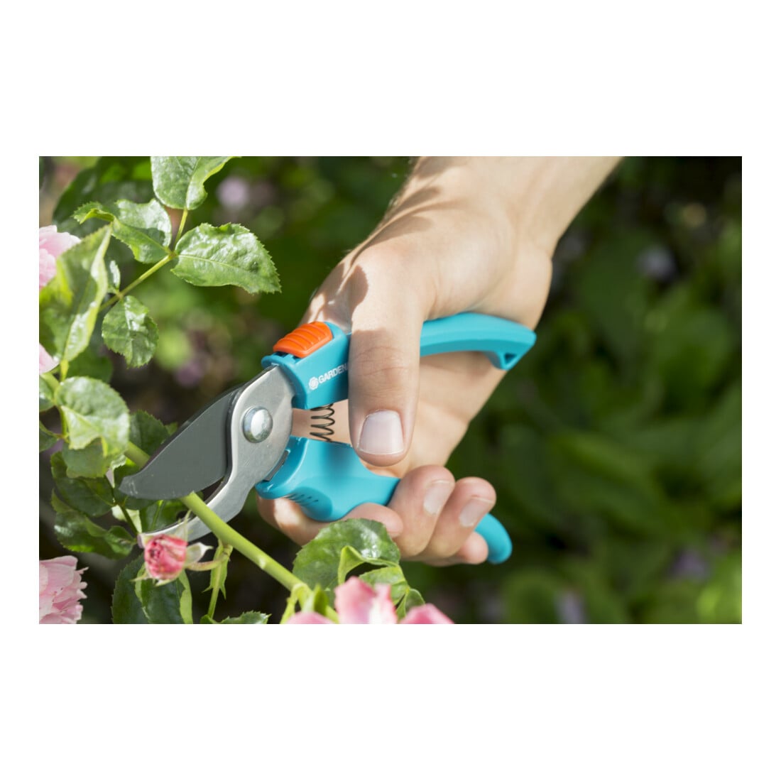 GARDENA Gartenscheren-Aktion