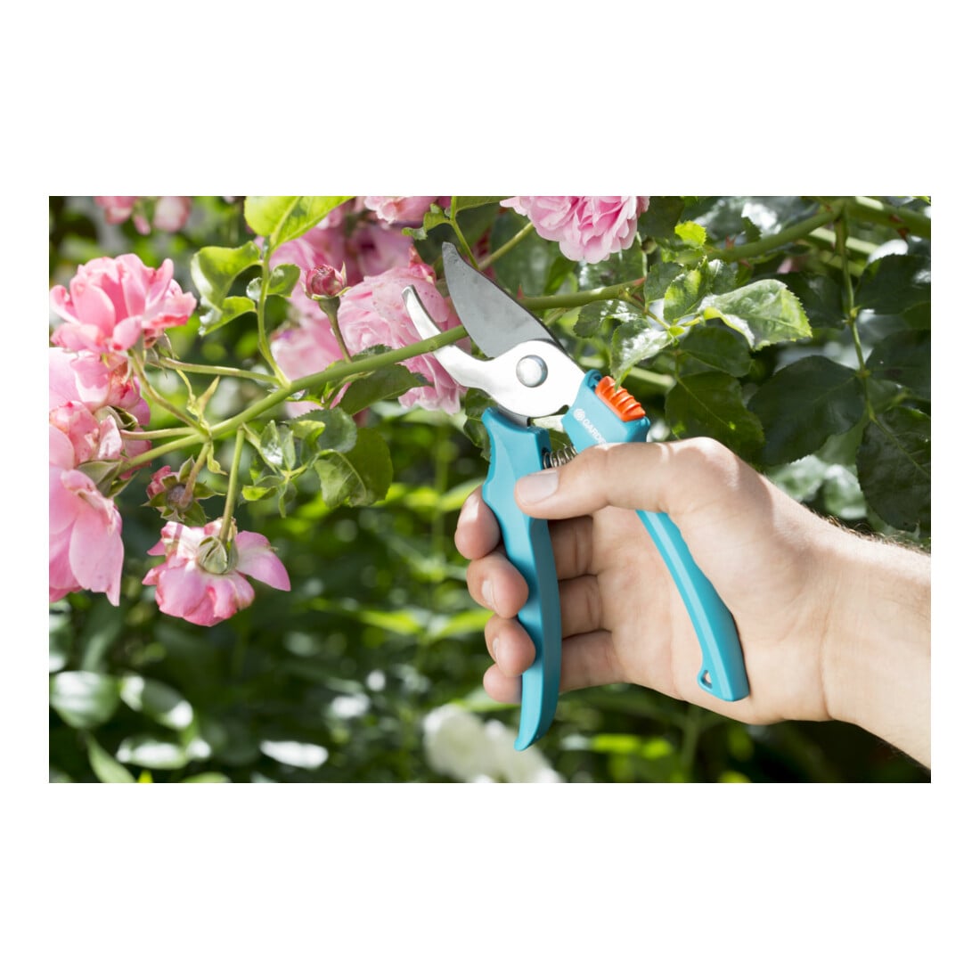 GARDENA Gartenscheren-Aktion