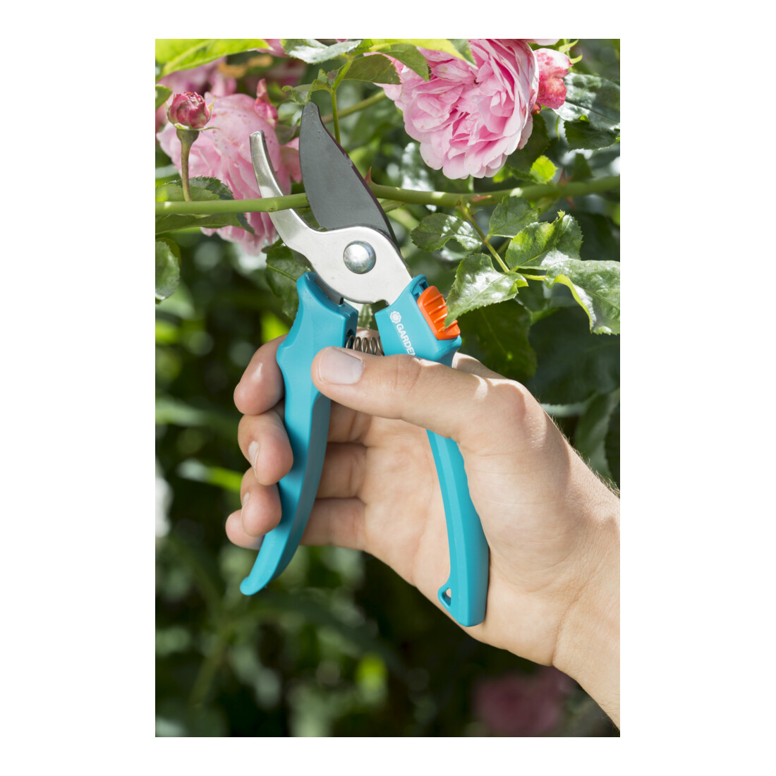 GARDENA Gartenscheren-Aktion