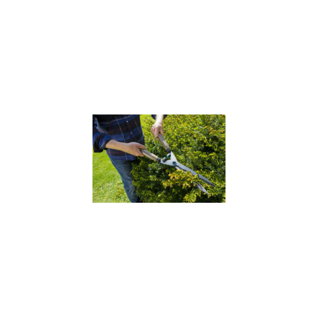 GARDENA Heckenschere NatureCut