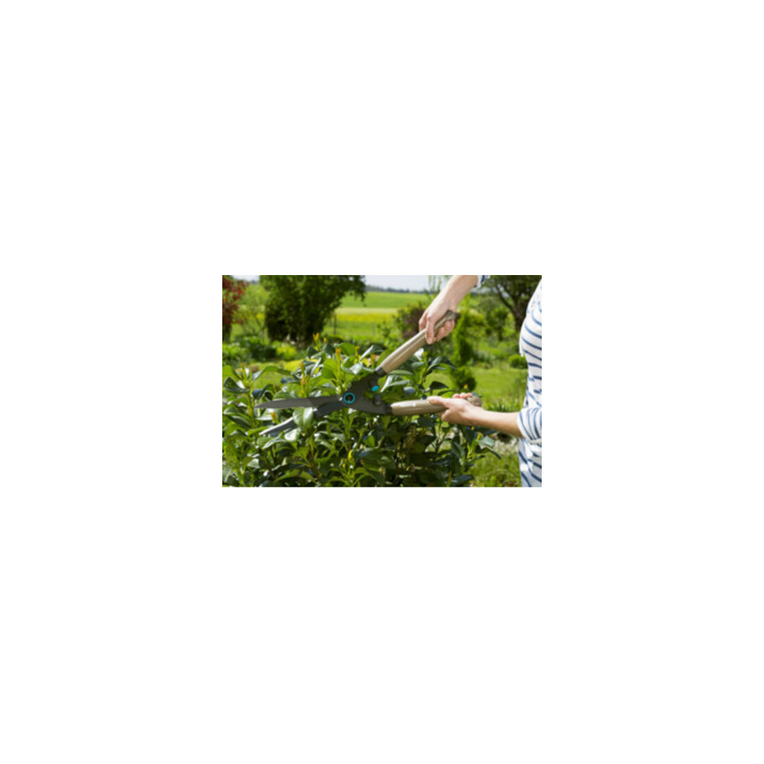 GARDENA Heckenschere NatureCut