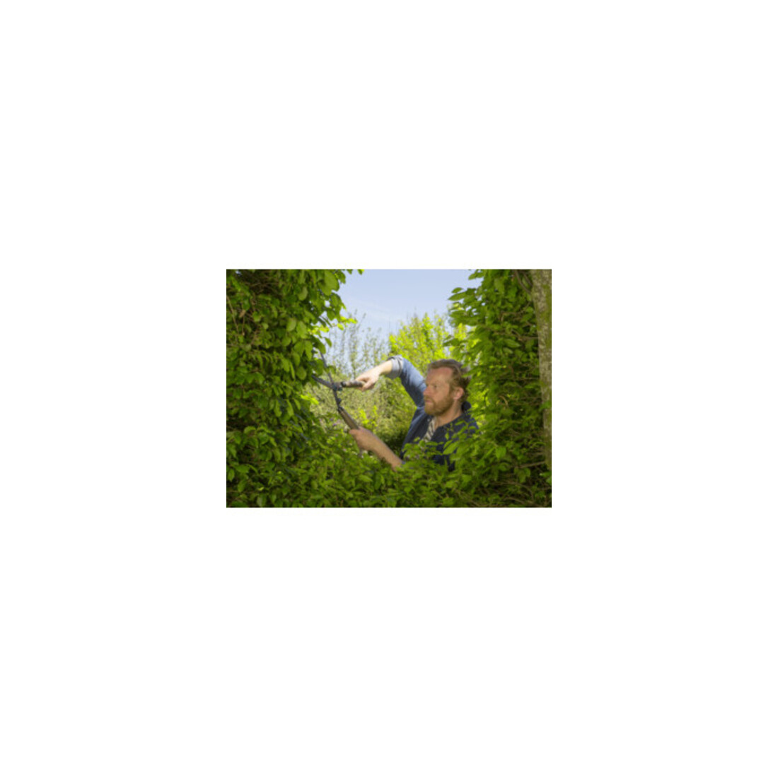 GARDENA Heckenschere NatureCut