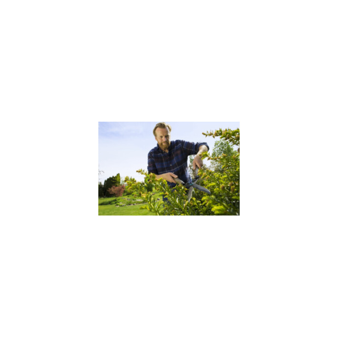 GARDENA Heckenschere NatureCut