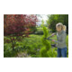GARDENA Heckenschere PrecisionCut-5