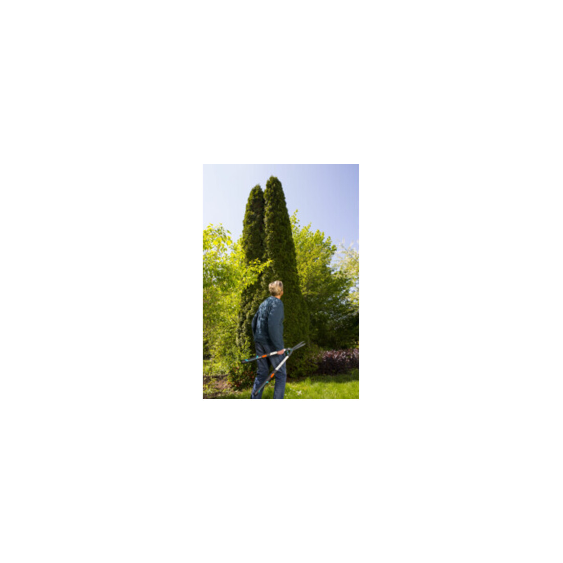 GARDENA Heckenschere TeleCut