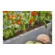 Gardena Kit d'arrosage goutte à goutte Terrasse (30 plantes) Contenu : 1 pièce-1