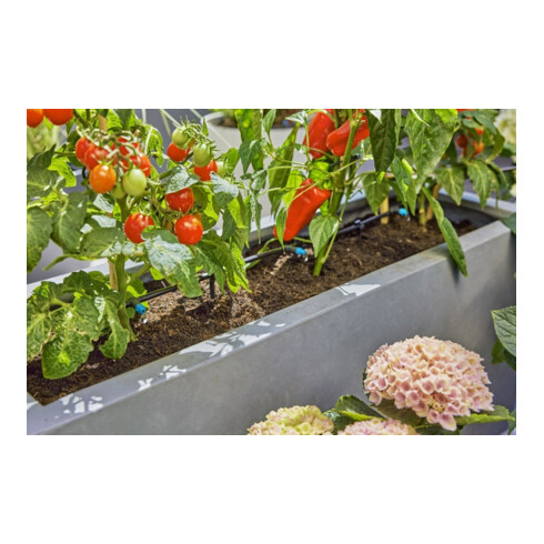 Gardena Kit d'arrosage goutte à goutte Terrasse (30 plantes) Contenu : 1 pièce