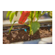 Gardena Kit d'arrosage goutte à goutte Terrasse (30 plantes) Contenu : 1 pièce-2