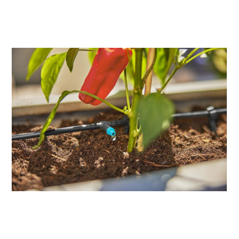 Gardena Kit d'arrosage goutte à goutte Terrasse (30 plantes) Contenu : 1 pièce