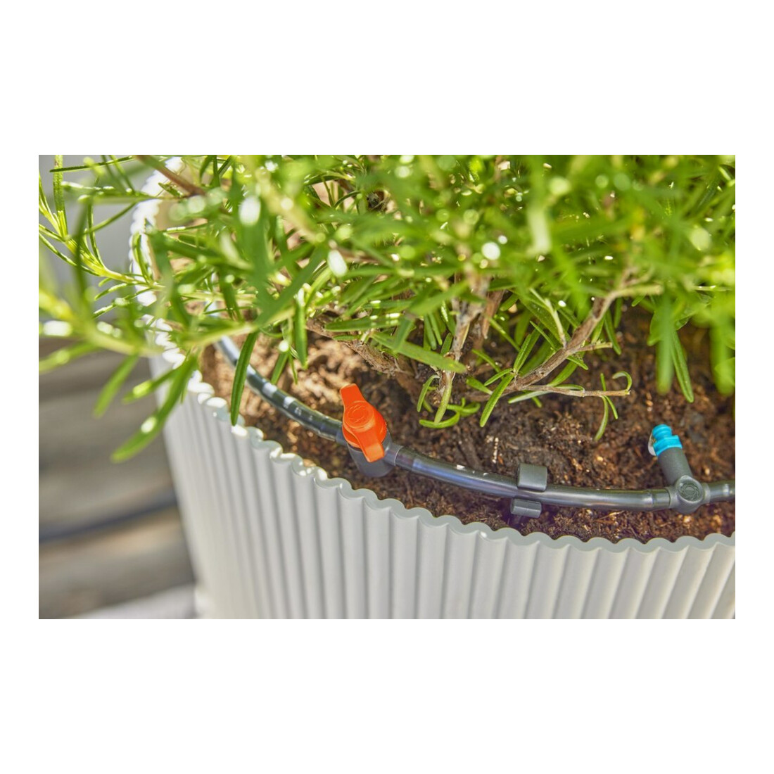 Gardena Kit d'arrosage goutte à goutte Terrasse (30 plantes) Contenu : 1 pièce
