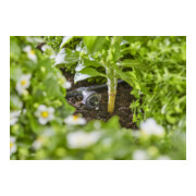 Gardena Kit d'irrigation goutte à goutte pour jardinière/lit 35 plantes