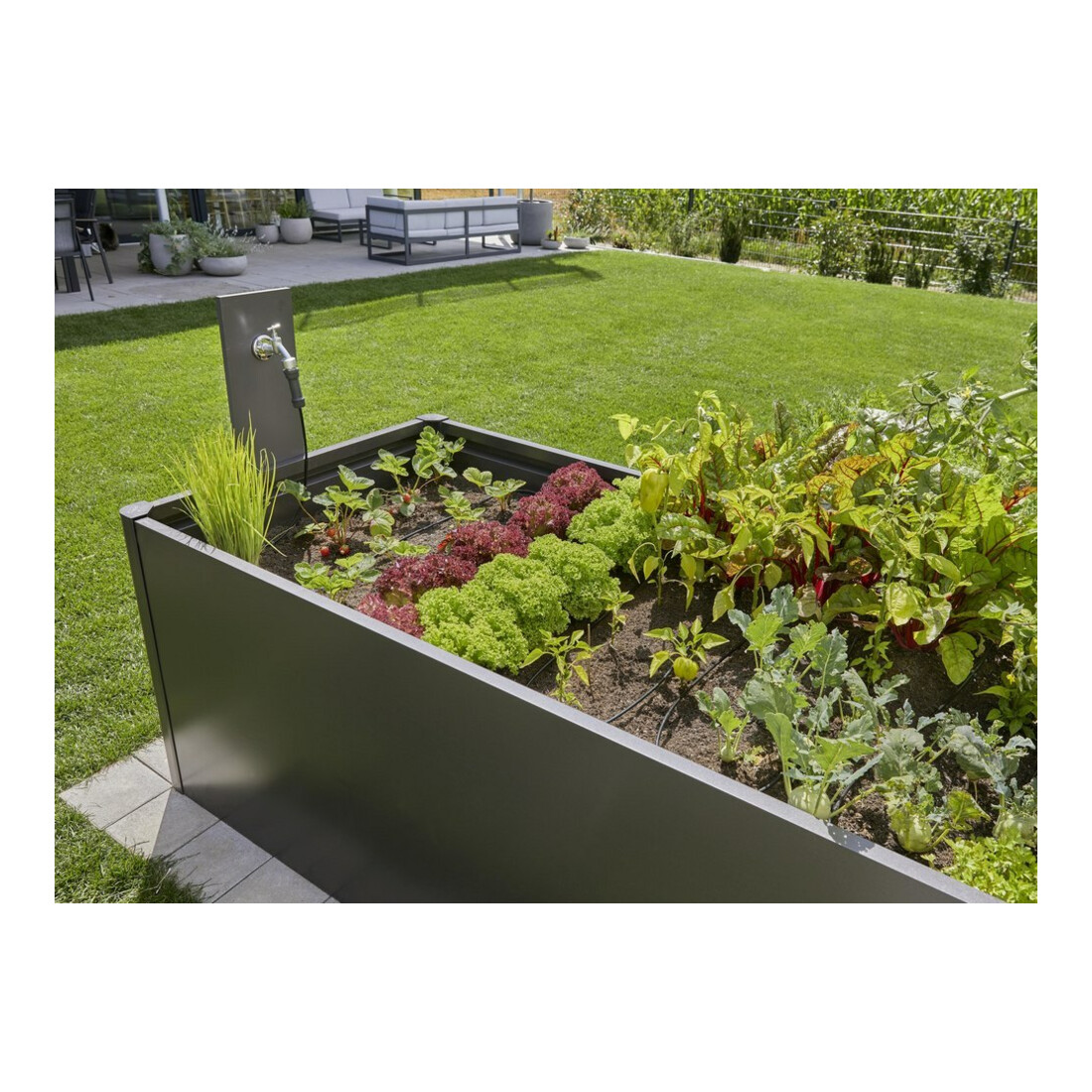 Gardena Kit d'irrigation goutte à goutte pour jardinière/lit 35 plantes