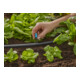 Gardena Micro-Drip-System Endkleinflächendüse-4