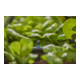 Gardena Micro-Drip-System Endstreifendüse