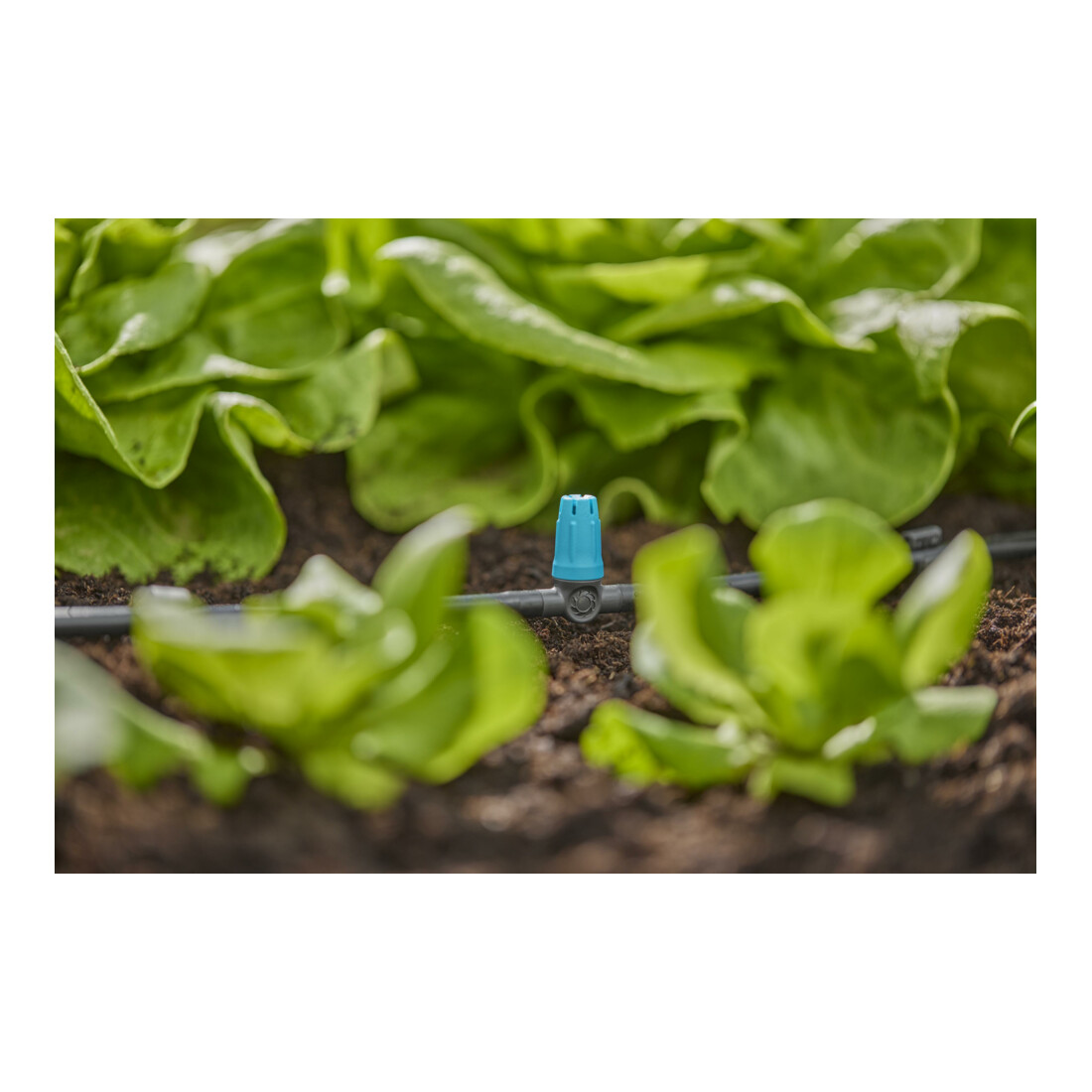 Gardena Micro-Drip-System Kleinflächendüse - Inhalt: 10 Kleinflächendüsen, 1 Verschlusskappe