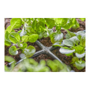 Gardena Micro-Drip-System Kreuzstück 4,6 mm (3/16")-2