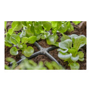 Gardena Micro-Drip-System Kreuzstück 4,6 mm (3/16")-5