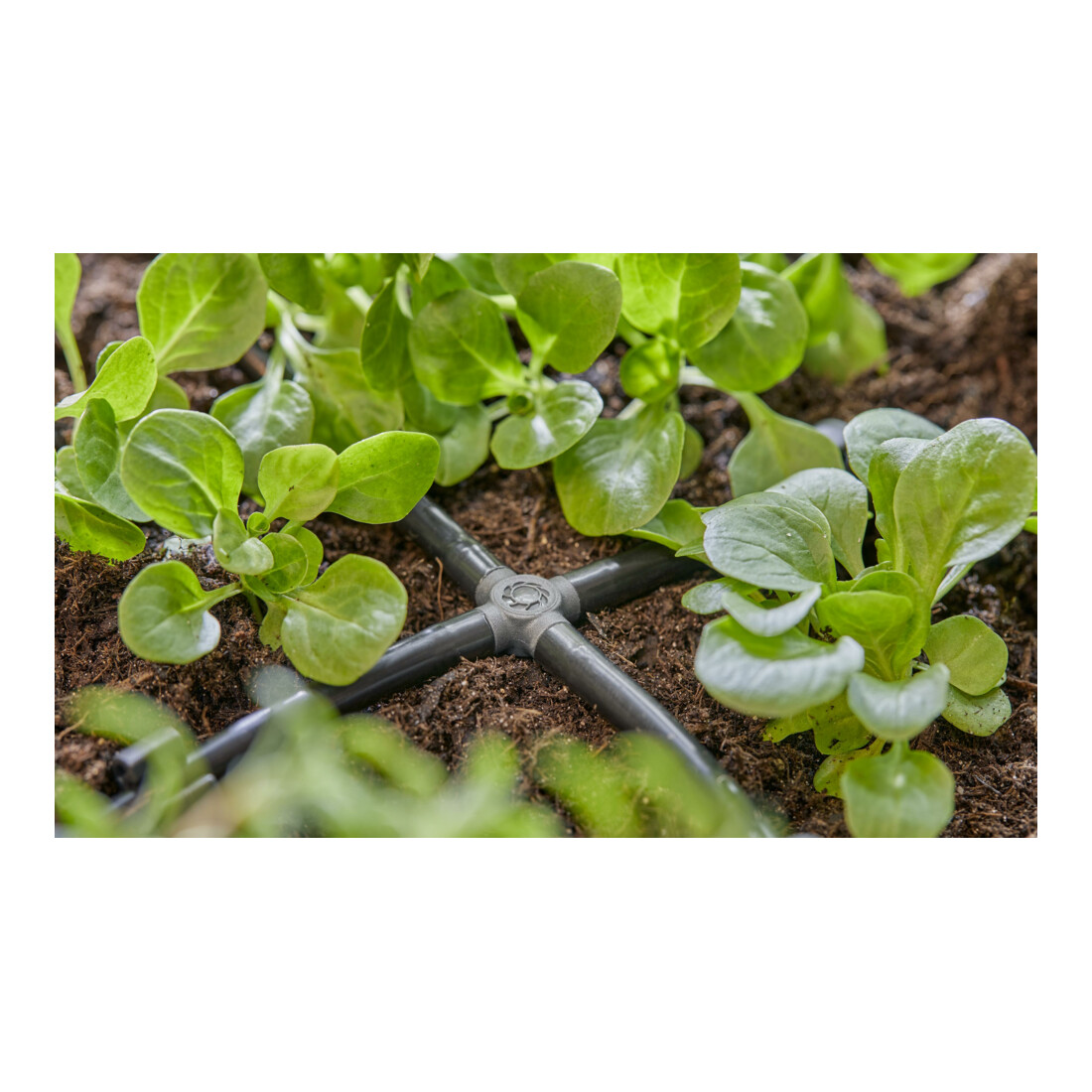 Gardena Micro-Drip-System Kreuzstück 4,6 mm (3/16")