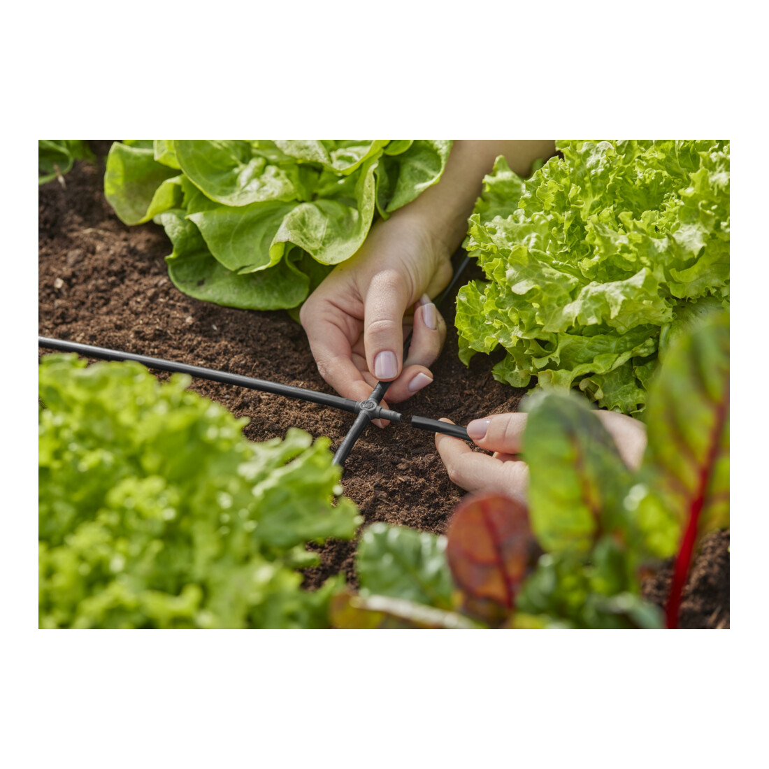 Gardena Micro-Drip-System Kreuzstück 4,6 mm (3/16")