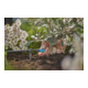 Gardena Micro-Drip-System Regulierbarer Endtropfer 0-15 l/h