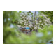 Gardena Micro-Drip-System Regulierbarer Endtropfer 0-15 l/h