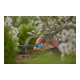 Gardena Micro-Drip-System Regulierbarer Endtropfer 0-15 l/h