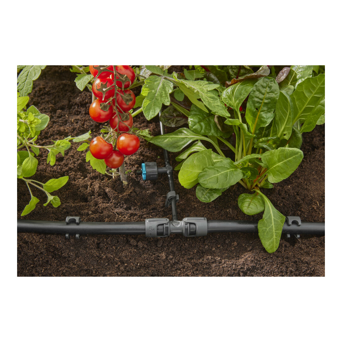 Gardena Micro-Drip-System Regulierbarer Reihentropfer 1-8 l/h, druckregulierend - Inhalt: 5 Reihentropfer, 1 Verschlusskappe