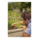 Gardena Micro-Drip-System Regulierbarer Reihentropfer 1-8 l/h, druckregulierend - Inhalt: 5 Reihentropfer, 1 Verschlusskappe-5