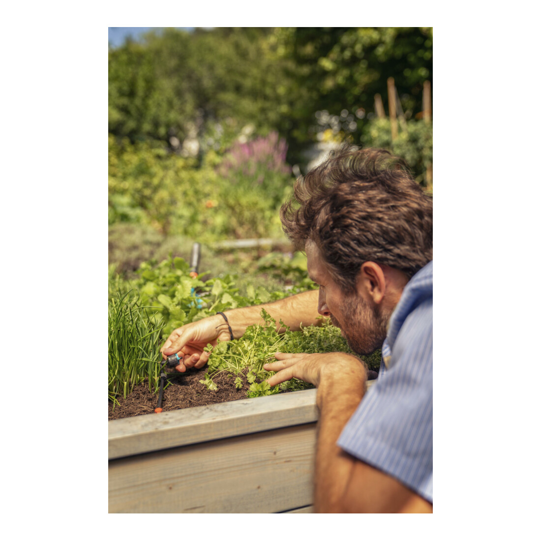 Gardena Micro-Drip-System Regulierbarer Reihentropfer 1-8 l/h, druckregulierend - Inhalt: 5 Reihentropfer, 1 Verschlusskappe