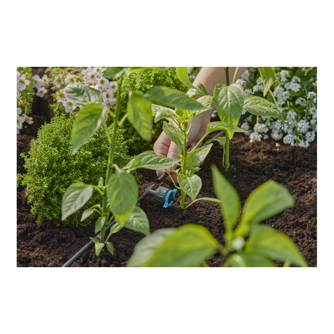 Gardena Micro-Drip-System Regulierbarer Reihentropfer 1-8 l/h, druckregulierend - Inhalt: 5 Reihentropfer, 1 Verschlusskappe