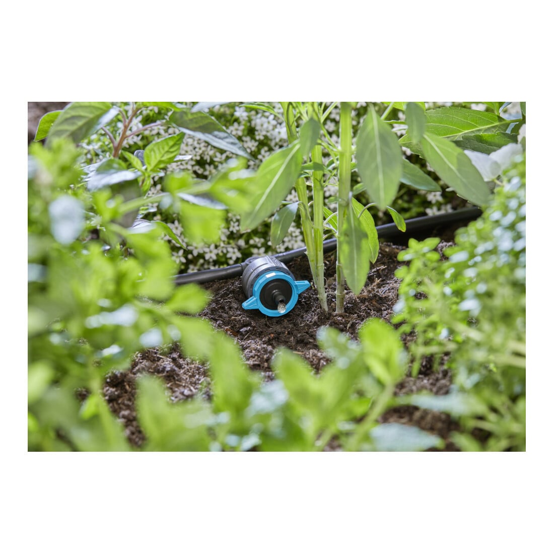 Gardena Micro-Drip-System Regulierbarer Reihentropfer 1-8 l/h, druckregulierend - Inhalt: 5 Reihentropfer, 1 Verschlusskappe