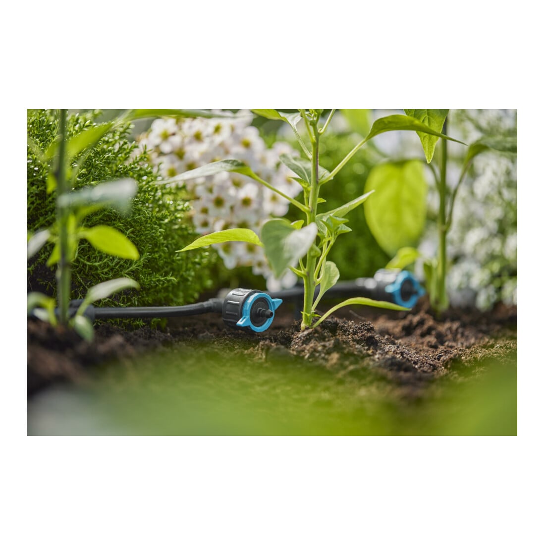 Gardena Micro-Drip-System Regulierbarer Reihentropfer 1-8 l/h, druckregulierend - Inhalt: 5 Reihentropfer, 1 Verschlusskappe