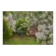 Gardena Micro-Drip-System Reihentropfer 2 l/h, druckregulierend-5