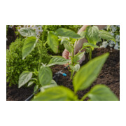 Gardena Micro-Drip-System Reihentropfer 2 l/h - Inhalt: 10 Reihentropfer, 1 Verschlusskappe, 1 Reinigungsnadel-2