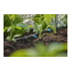 Gardena Micro-Drip-System Reihentropfer 2 l/h - Inhalt: 10 Reihentropfer, 1 Verschlusskappe, 1 Reinigungsnadel-5