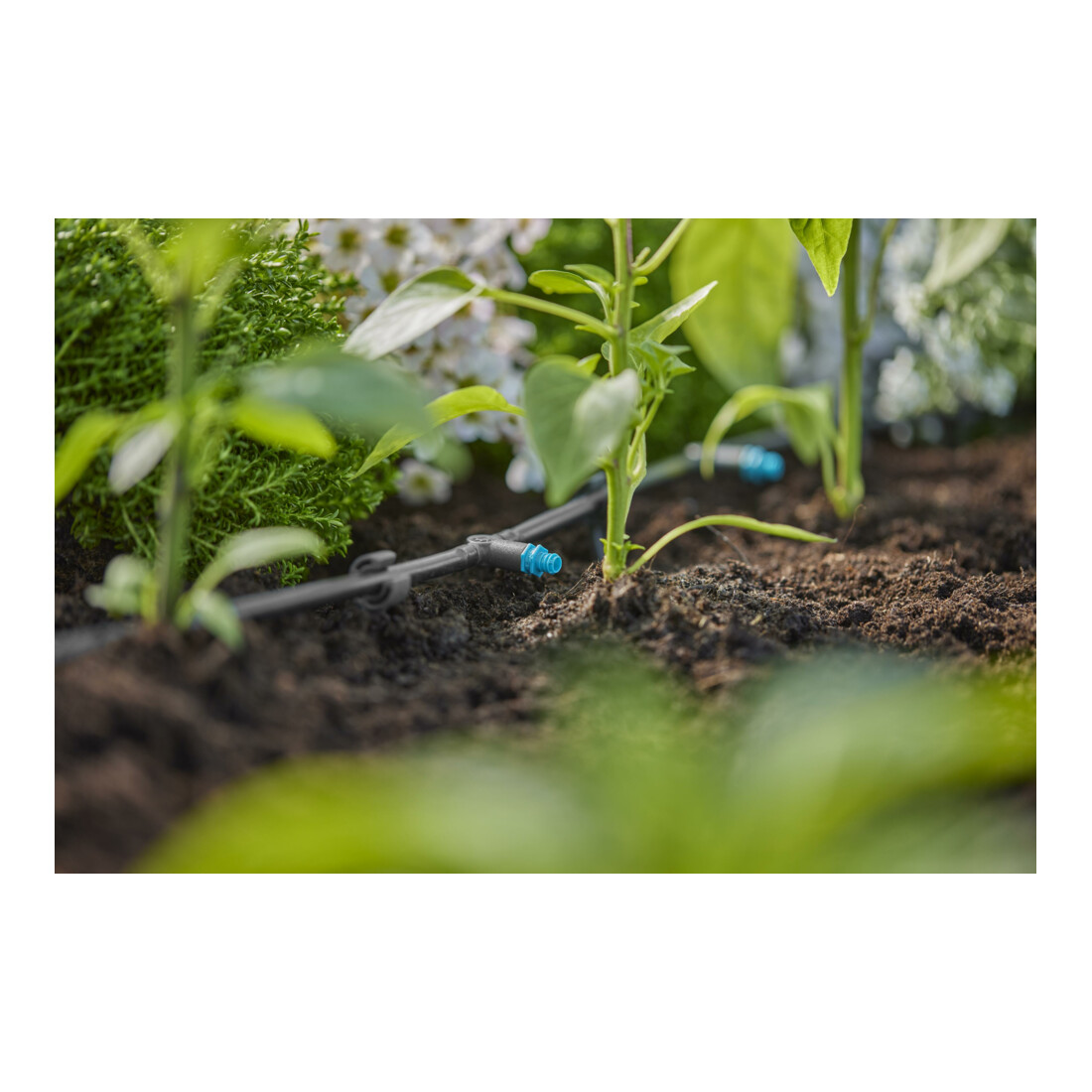 Gardena Micro-Drip-System Reihentropfer 2 l/h - Inhalt: 10 Reihentropfer, 1 Verschlusskappe, 1 Reinigungsnadel