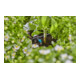 Gardena Micro-Drip-System Reihentropfer 2 l/h - Inhalt: 10 Reihentropfer, 1 Verschlusskappe, 1 Reinigungsnadel