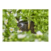 Gardena Micro-Drip-System Reihentropfer druckausgleichend 2 l/h - Inhalt: 10 Reihentropfer, 1 Verschlusskappe-2