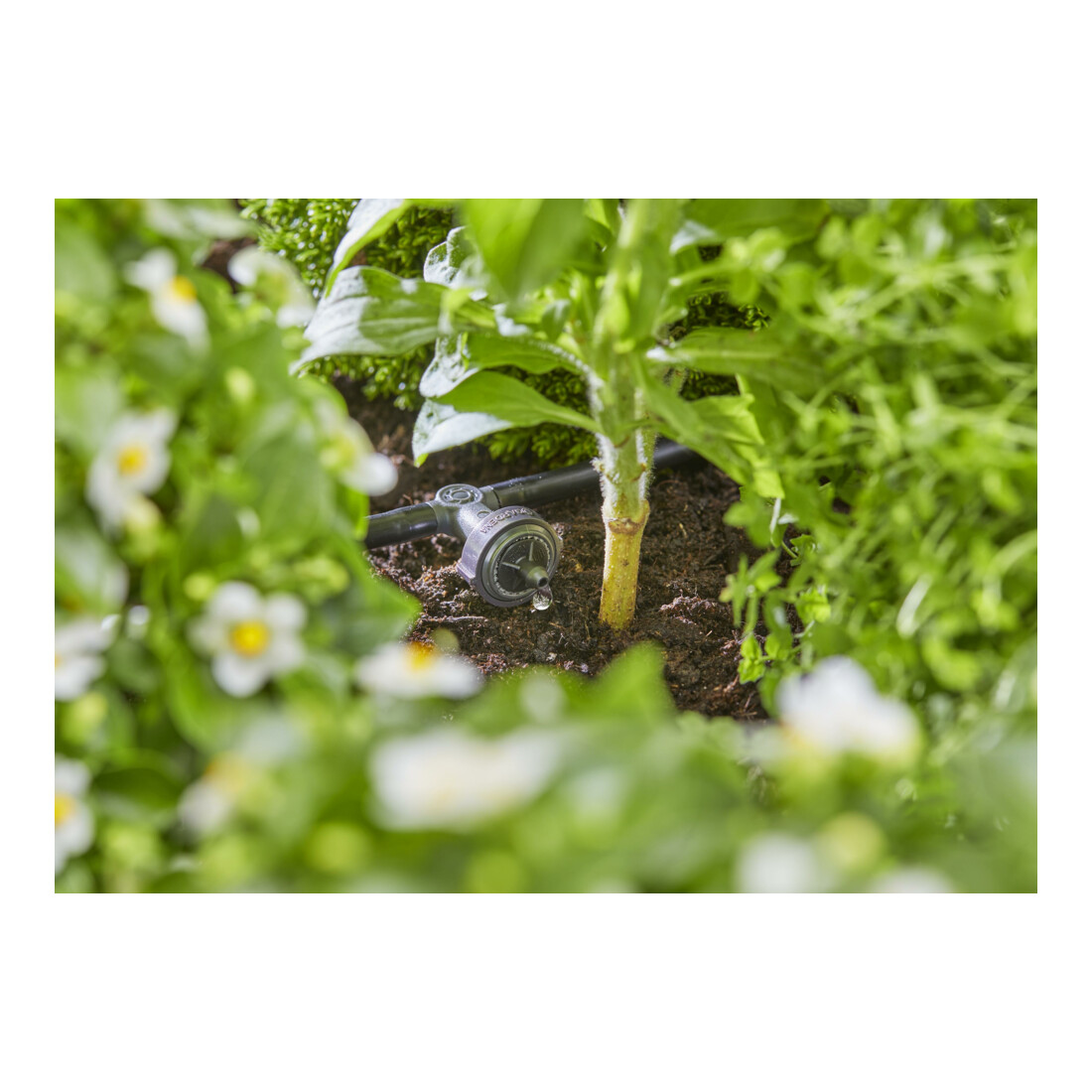 Gardena Micro-Drip-System Reihentropfer druckausgleichend 2 l/h - Inhalt: 10 Reihentropfer, 1 Verschlusskappe