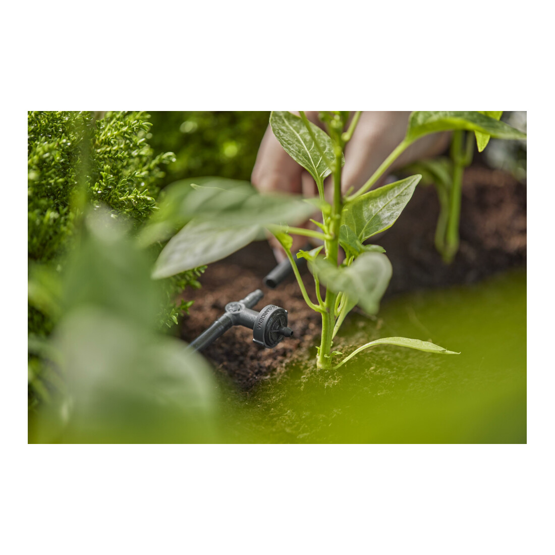 Gardena Micro-Drip-System Reihentropfer druckausgleichend 2 l/h - Inhalt: 10 Reihentropfer, 1 Verschlusskappe