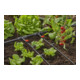 Gardena Micro-Drip-System Reihentropfer druckausgleichend 2 l/h - Inhalt: 10 Reihentropfer, 1 Verschlusskappe